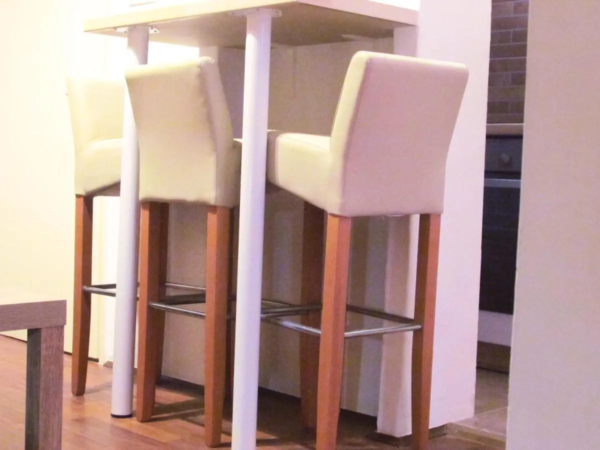 Center Studio Apartment Pula